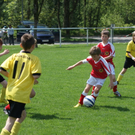 DSC05541_JPG-1273657367