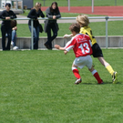 DSC05560_JPG-1273657367