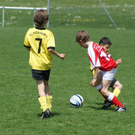 DSC05573_JPG-1273657368