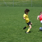 DSC05580_JPG-1273657368