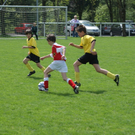 DSC05600_JPG-1273657369