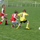 DSC05652_JPG-1273657372