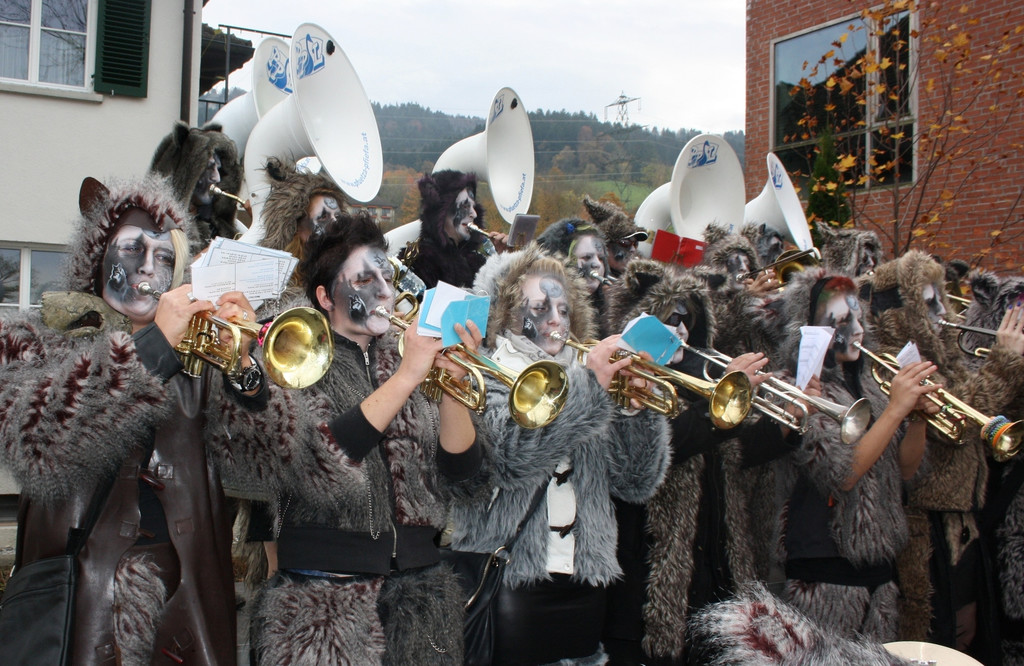 Fasching BGM Absetzung SYMBOLFOTOS 2015 _8_.JPG