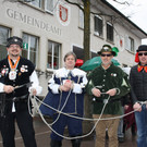 Fasching BGM Absetzung SYMBOLFOTOS 2015 _5_.JPG