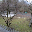 IMG_9653.JPG