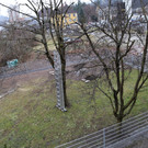 IMG_9656.JPG