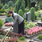 Gärten und Blumen