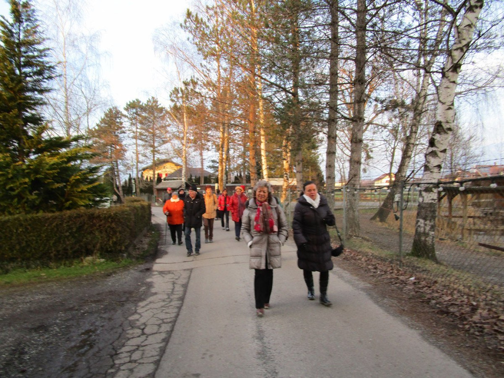Bild9.jpg