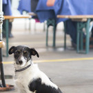 DAF Welcome Day 348.jpg