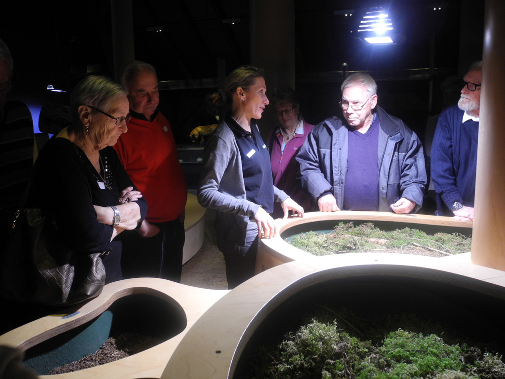 Seniorenring Club 50_ Besichtigung der Inatura 27_01_ 2015  Bild 9 _1_.JPG