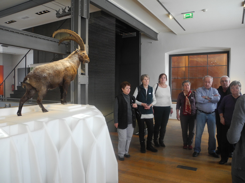 Seniorenring Club 50_ Besichtigung der Inatura 27_01_ 2015  Bild 9 _2_.JPG