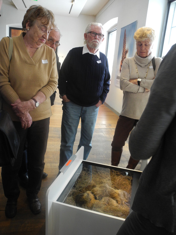 Seniorenring Club 50_ Besichtigung der Inatura 27_01_ 2015  Bild 9 _4_.JPG