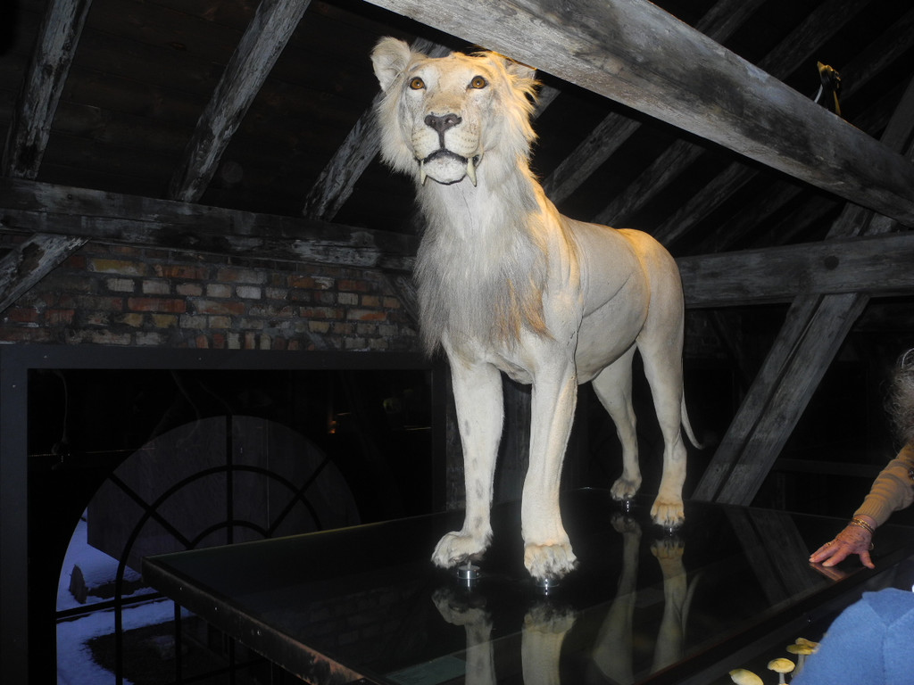 Seniorenring Club 50_ Besichtigung der Inatura 27_01_ 2015  Bild 9 _8_.JPG