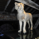 Seniorenring Club 50_ Besichtigung der Inatura 27_01_ 2015  Bild 9 _8_.JPG