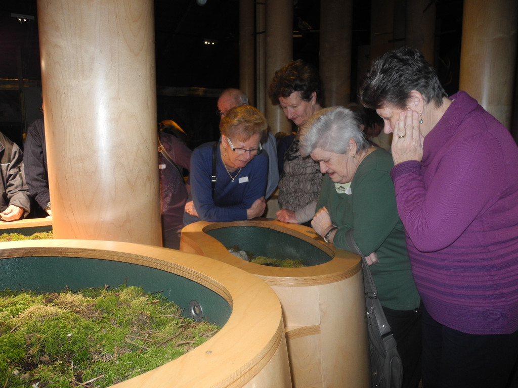 Seniorenring Club 50_ Besichtigung der Inatura 27_01_ 2015  Bild 9 _9_.JPG