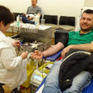 Blut7a.jpg