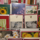 CIMG0933.JPG