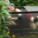 dschungel4.jpg