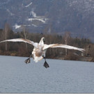 7 - Kopie.jpg