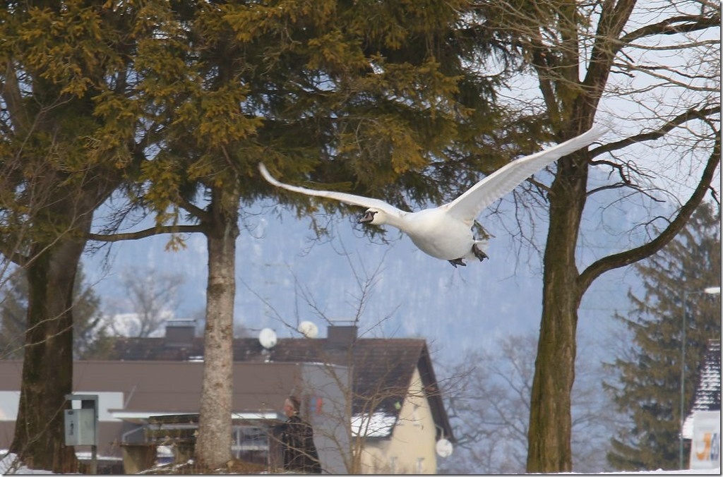 36 - Kopie.jpg