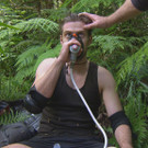 d4.jpg