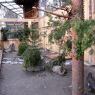 KOE_Wildpark Auerhaehne 2.jpg