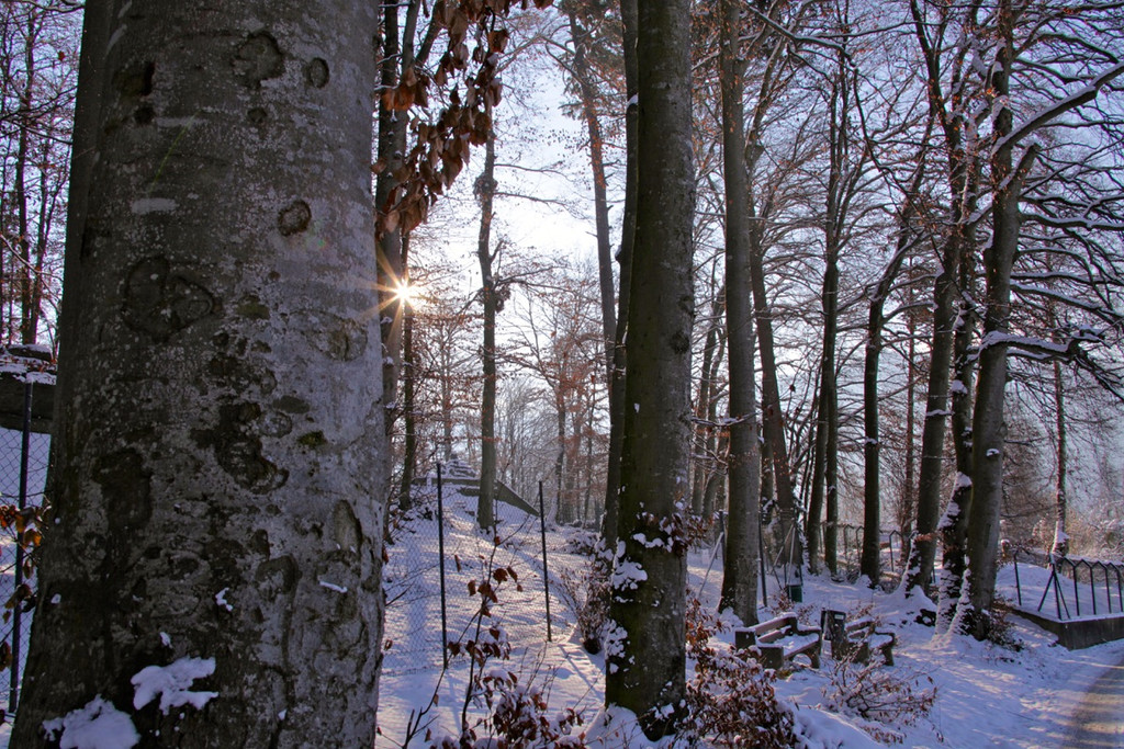 KOE_Wildpark Auerhaehne 10.jpg