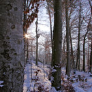 KOE_Wildpark Auerhaehne 10.jpg