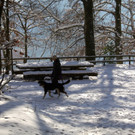 KOE_Wildpark Auerhaehne 12.jpg