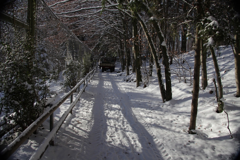 KOE_Wildpark Auerhaehne 13.jpg