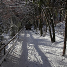 KOE_Wildpark Auerhaehne 13.jpg