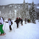 Schneeschuhwandern des Seniorenbundes Bregenz