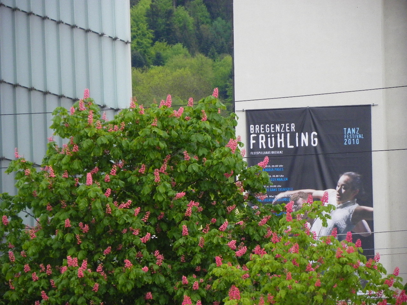 101_2606_jpg-1273747068