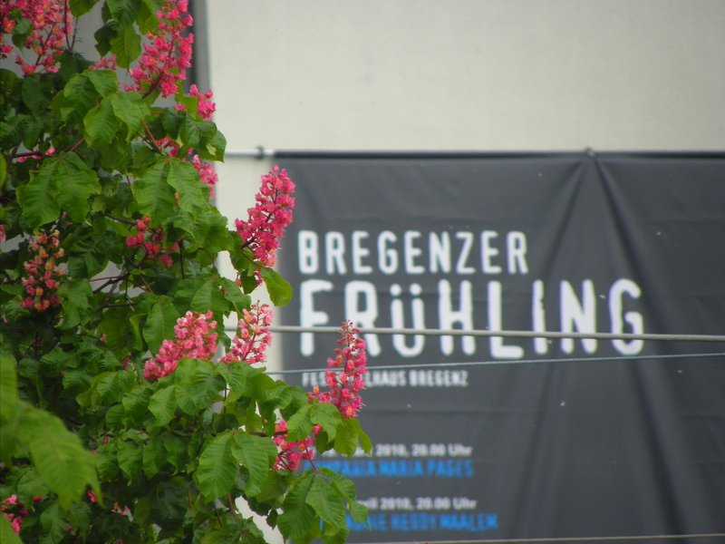 101_2554_jpg-1273747147