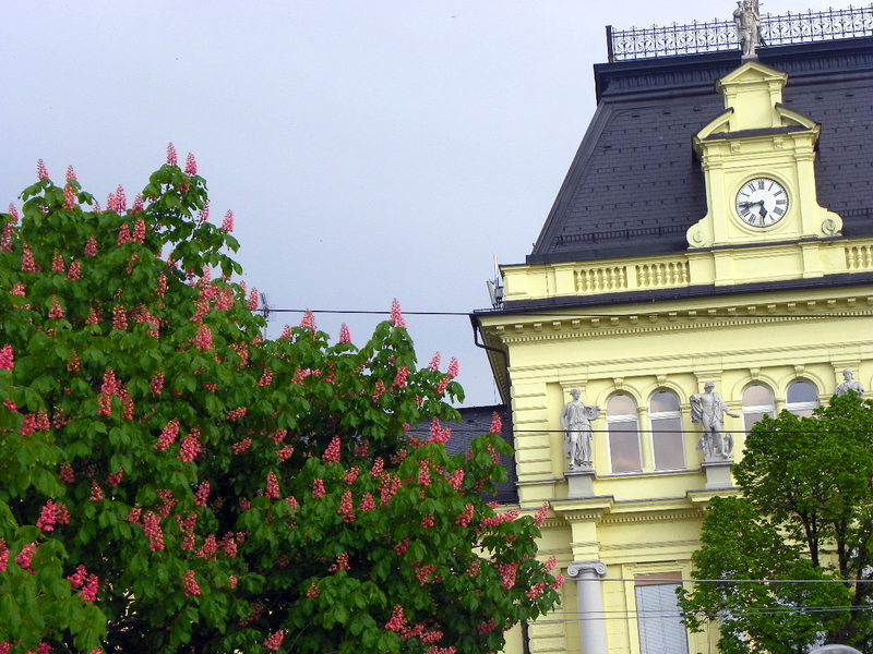 101_2522_jpg-1273747084