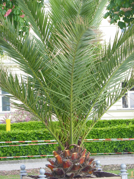 101_2530_jpg-1273747138