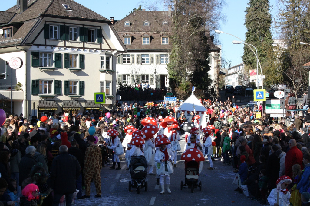 Fasching UMZUG in Lochau Termin 2015 _21_.JPG