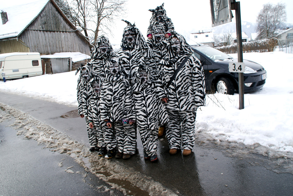 Zebras aus Sulz.JPG