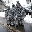 Zebras aus Sulz.JPG
