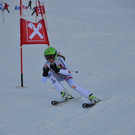 DSC_7377.JPG