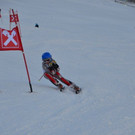 DSC_7386.JPG