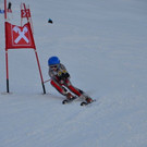 DSC_7387.JPG