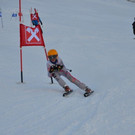 DSC_7437.JPG