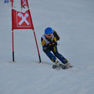 DSC_7446.JPG