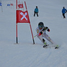 DSC_7455.JPG