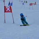 DSC_7274.JPG