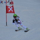 DSC_7377.JPG