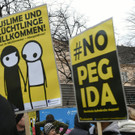 Pegida Wien: Fotos der Proteste und Kungebungen