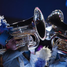 IBD0078-20150203.jpg
