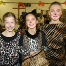 Musikschule Faschingskonzert 02-02-2015 _7_.JPG